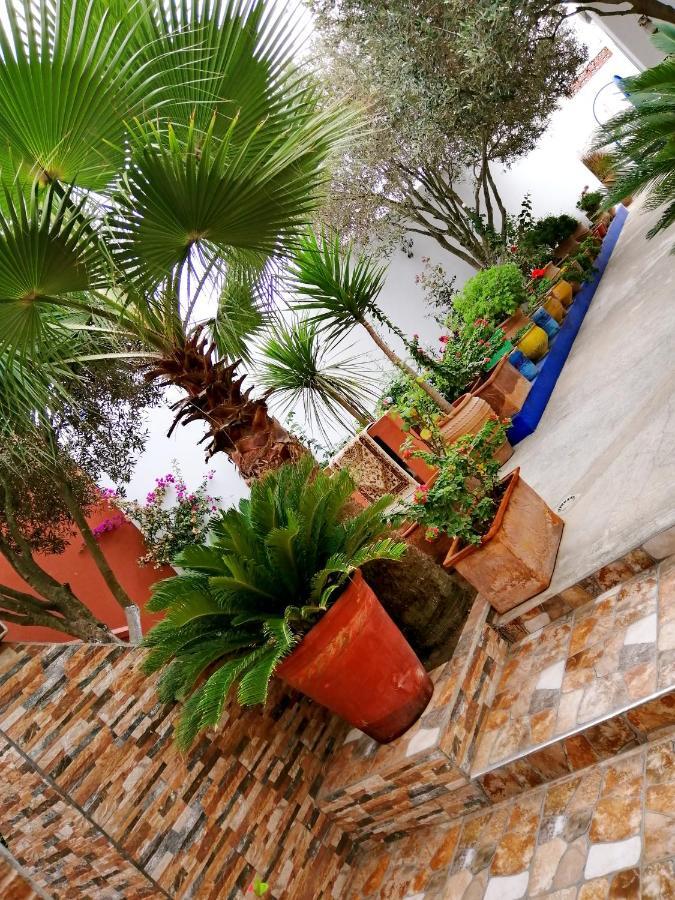 شقة Dar Ezzitouna الوالدية المظهر الخارجي الصورة